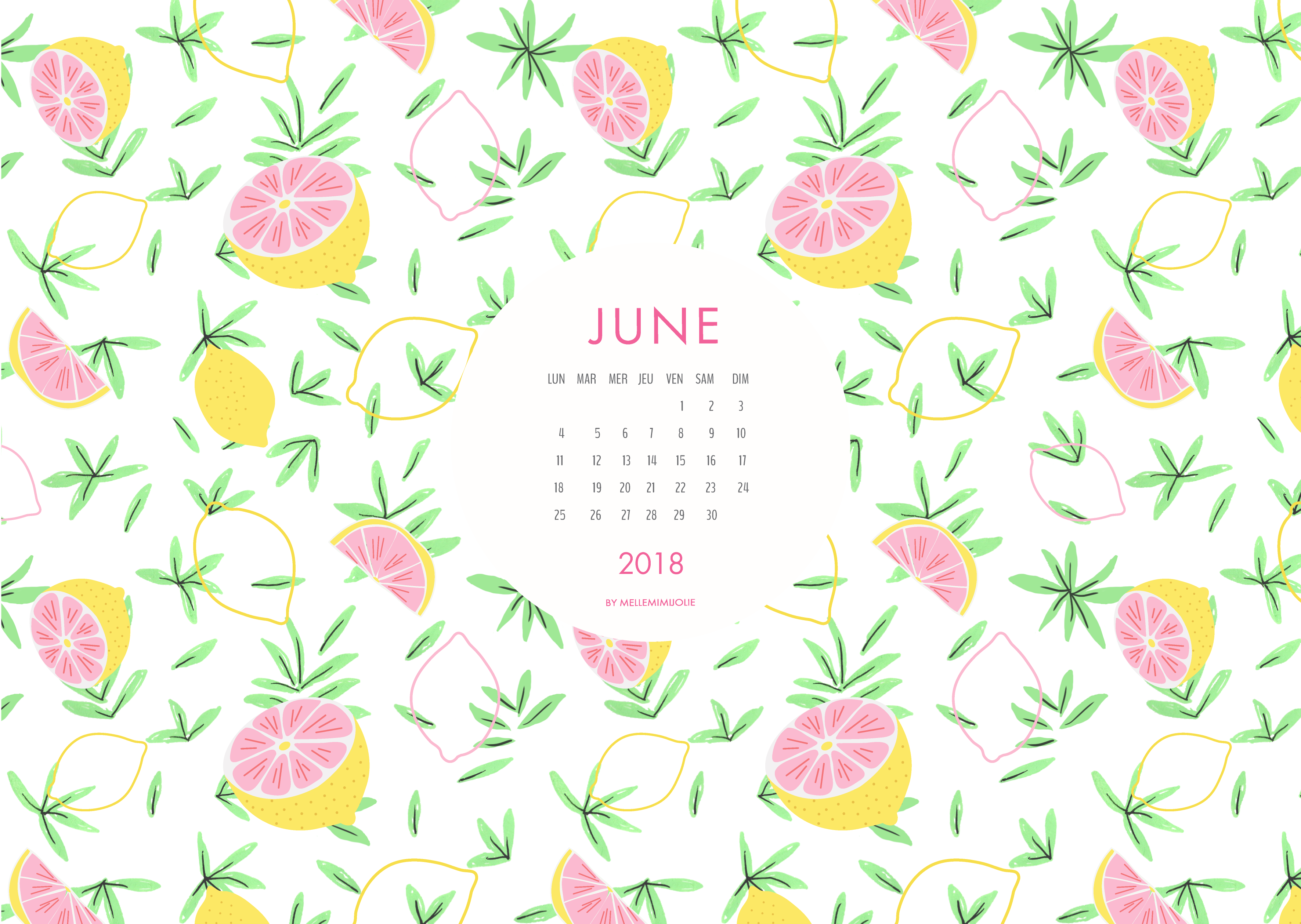 juin-mellemimijolie-citrons