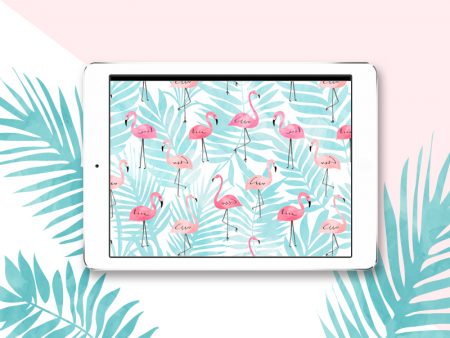wallpaper-flamingo-mellemimijolie